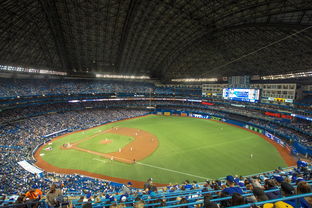 乐鱼体育app官网-世界击剑锦标赛中国女花首次进四强，击剑世界冠军女